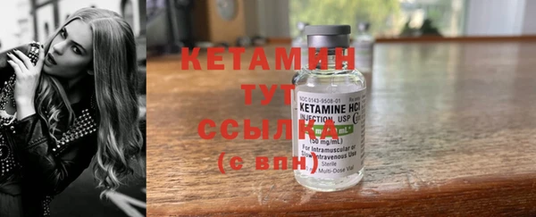 прущие грибы Балабаново