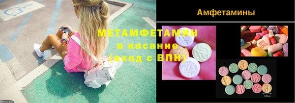 прущие грибы Балабаново
