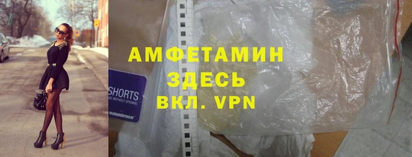 прущие грибы Балабаново