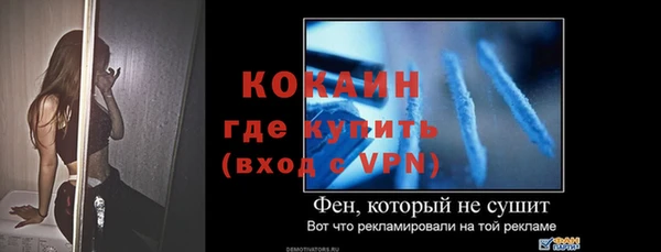 прущие грибы Балабаново