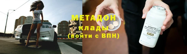 прущие грибы Балабаново
