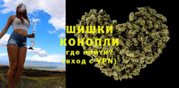 прущие грибы Балабаново