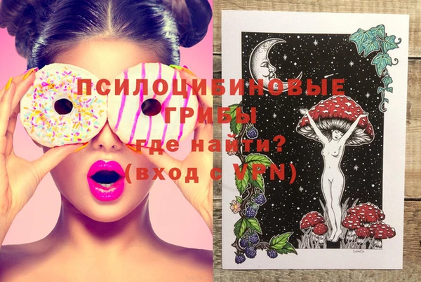 прущие грибы Балабаново