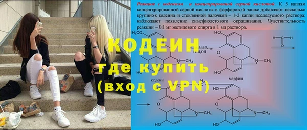 прущие грибы Балабаново