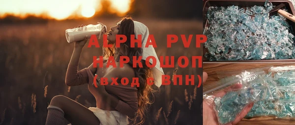 прущие грибы Балабаново