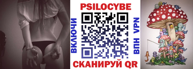 Галлюциногенные грибы Psilocybe  даркнет сайт  Белая Калитва 